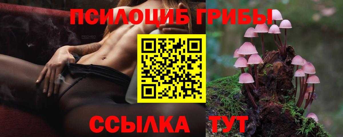 Псилоцибиновые грибы ЛСД Горно-Алтайск