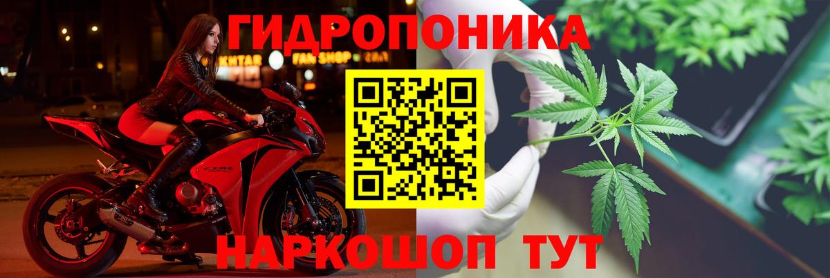 МАРИХУАНА White Widow Горно-Алтайск